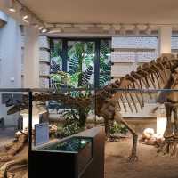 Landesmuseum Hannover – A Grand Showcase of Art, Nature, and Culture