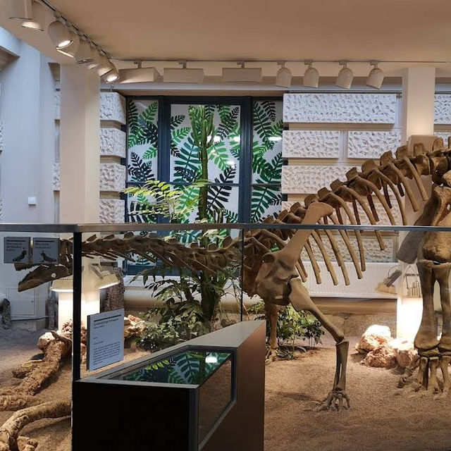 Landesmuseum Hannover – A Grand Showcase of Art, Nature, and Culture