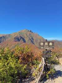 【群馬】今行くべき!!奇跡の絶景