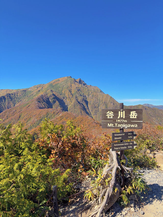 【群馬】今行くべき!!奇跡の絶景