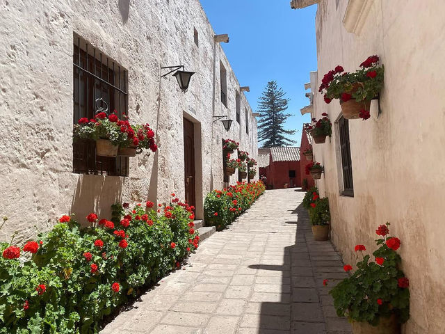 A Vibrant Oasis of History and Color A Vibrant Oasis of History and Color