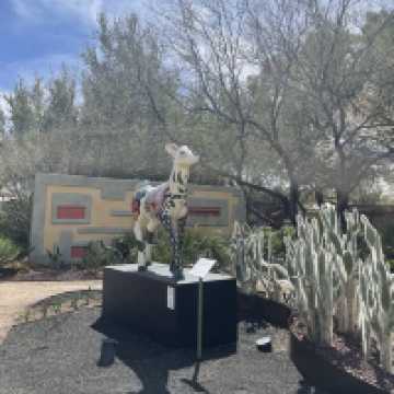 Tucson Botanical Gardens