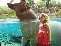 Busch Gardens - Good for quality family time