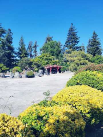 The Soloist's Urban Oasis: Japanese Friendship Garden of San Jose