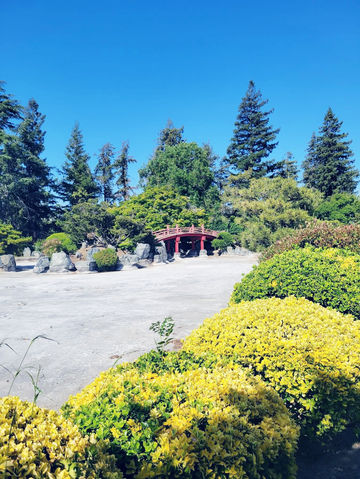 The Soloist's Urban Oasis: Japanese Friendship Garden of San Jose