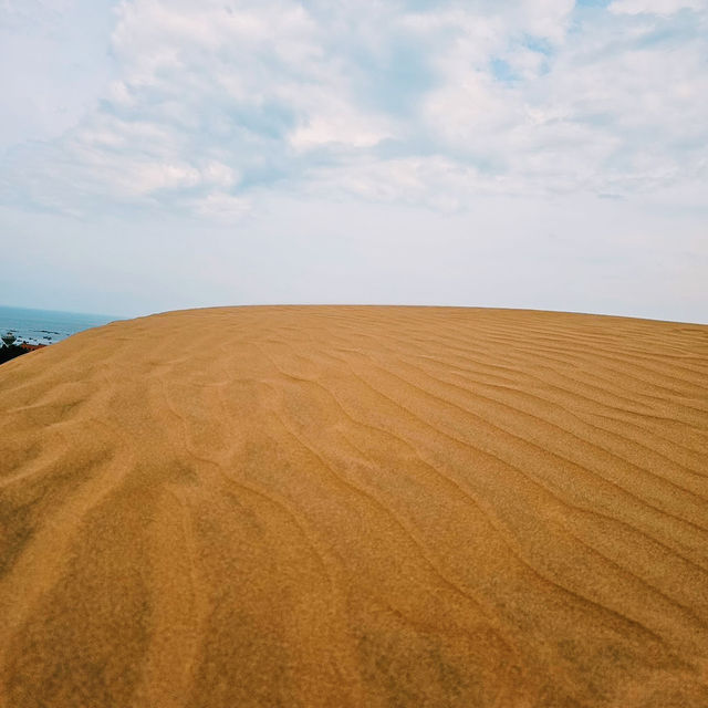 Red Sand Dunes: สัมผัสเนินทรายแดง วิวสุดมหัศจรรย์ Red Sand Dunes: สัมผัสเนินทรายแดง วิวสุดมหัศจรรย์