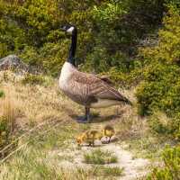 「氷河を眺めながら、大自然の心臓部へ。」