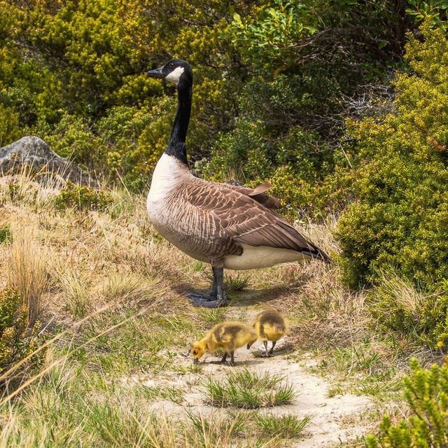 「氷河を眺めながら、大自然の心臓部へ。」 「氷河を眺めながら、大自然の心臓部へ。」