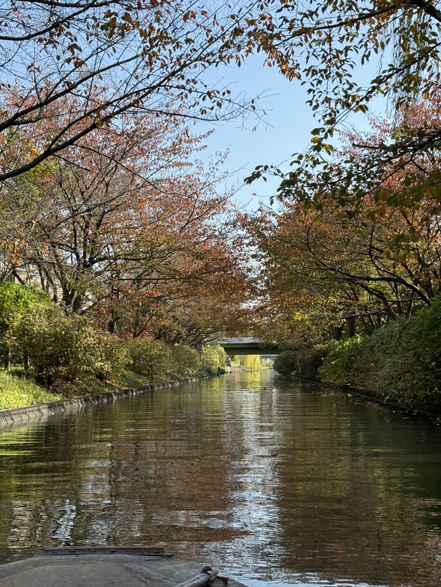🍁 伏見十石舟:秋日泛舟,穿越時光的水上畫卷 🍂 🍁 伏見十石舟:秋日泛舟,穿越時光的水上畫卷 🍂