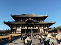 奈良東大寺～穿越千年遇見世界最大木造建築！與鹿共游的佛像奇觀🦌🏯