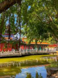 주해 여행에서 꼭 가야할 곳⭐️