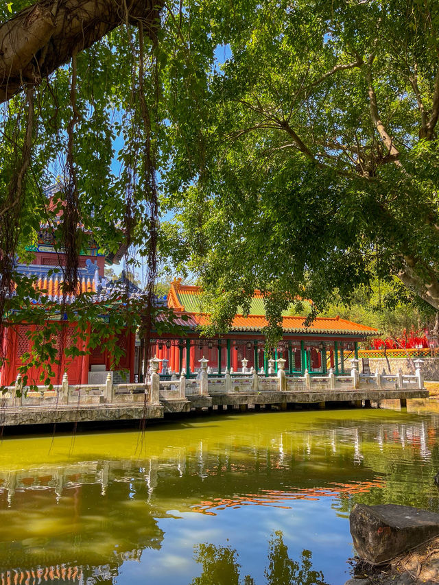 주해 여행에서 꼭 가야할 곳⭐️ 주해 여행에서 꼭 가야할 곳⭐️