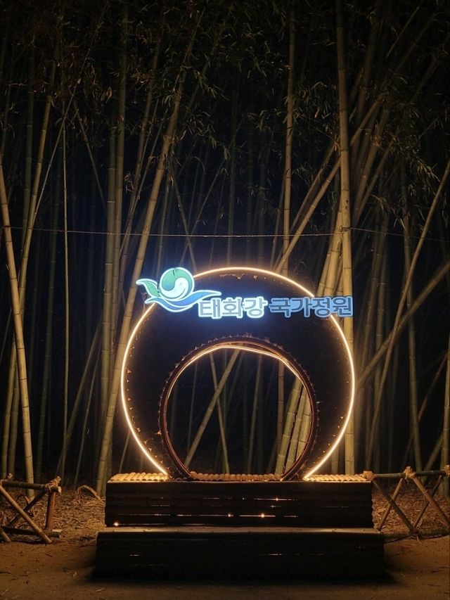 Night Magic at Ulsan’s Taehwagang National Garden 🌈✨