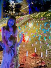 “Lampang Orchid & Aurora Festival”