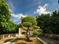 An Oasis of Autumn in an Urban Skyline