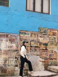 💫香港美食、景點個人推薦💫