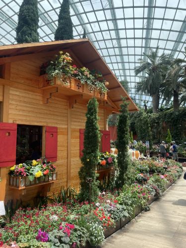 🌸世界最大級のガラス温室で花の世界を楽しむ | Trip.com シンガポール
