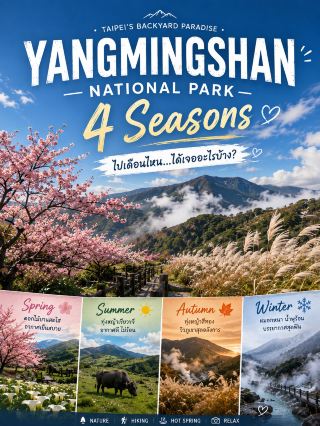 🌸🏞️ Yangmingshan National Park 4 Seasonsไปเดือนไหน…ได้เจออะไรบ้าง? 🌿