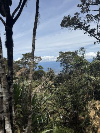 雲端之上：我的京那巴魯山之旅🏔️☁️