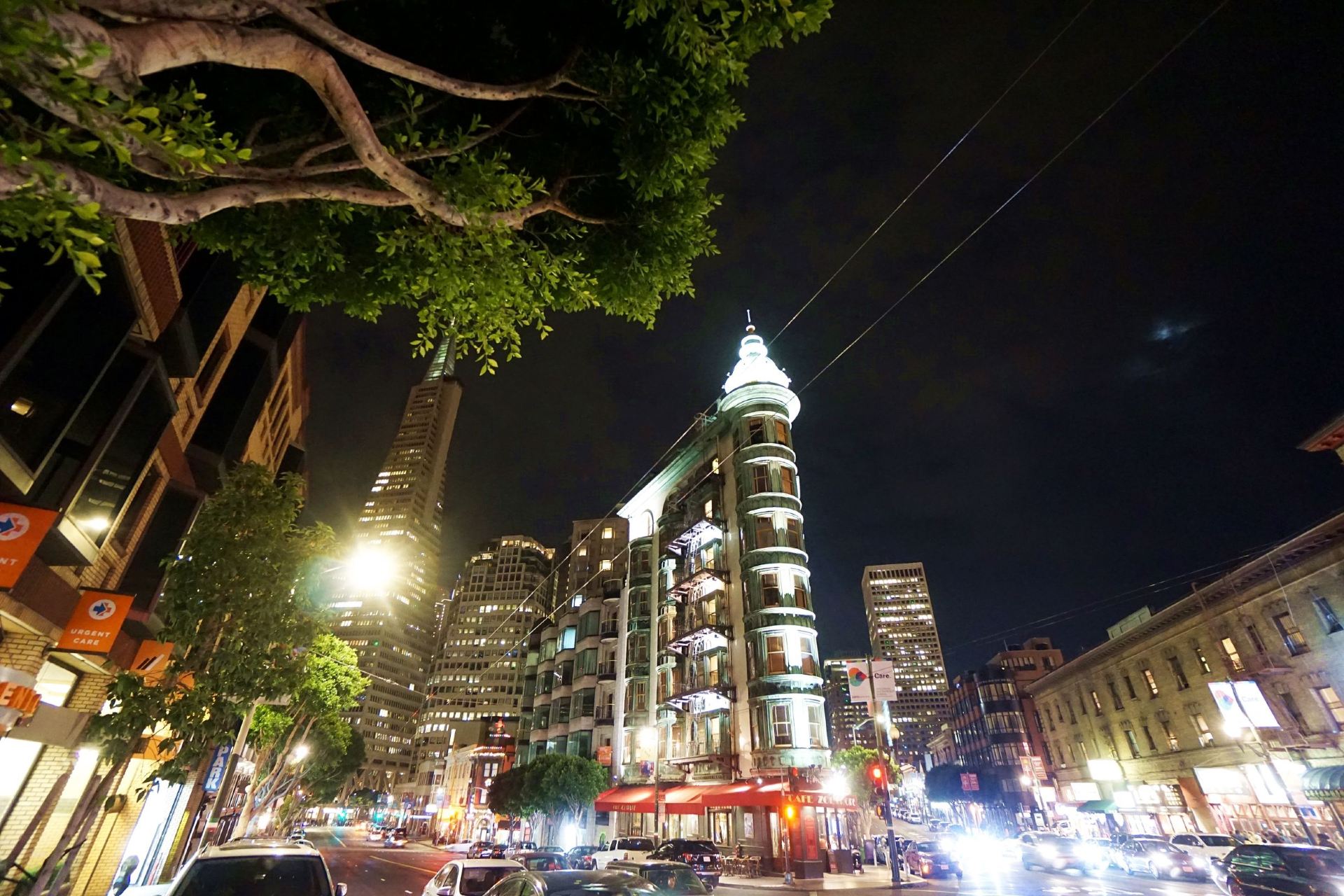 🇺🇸【舊金山．微醺夜行】從 Pier 39 的海獅喧囂，走到北灘與聯合廣場的璀璨夜色 🦭✨