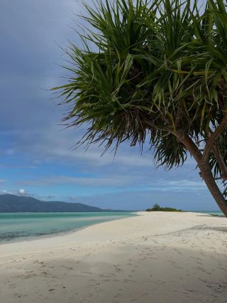 ☀️“Cresta de Gallo – Summer’s Hidden White-Sand Paradise”