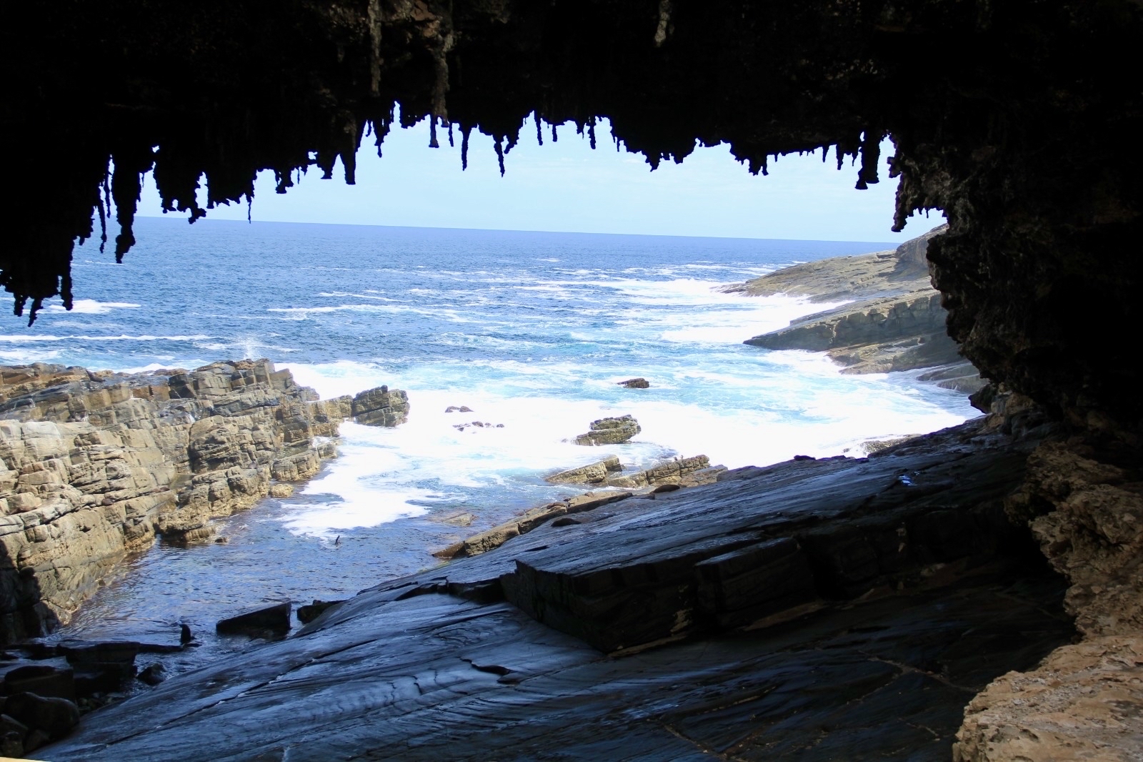 Admirals Arch: A Wild Encounter on Kangaroo Island
