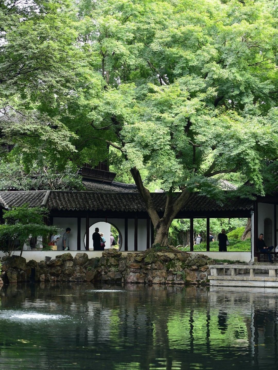 🍂 Huishan Ancient Town | A Slow Walk Through Autumn