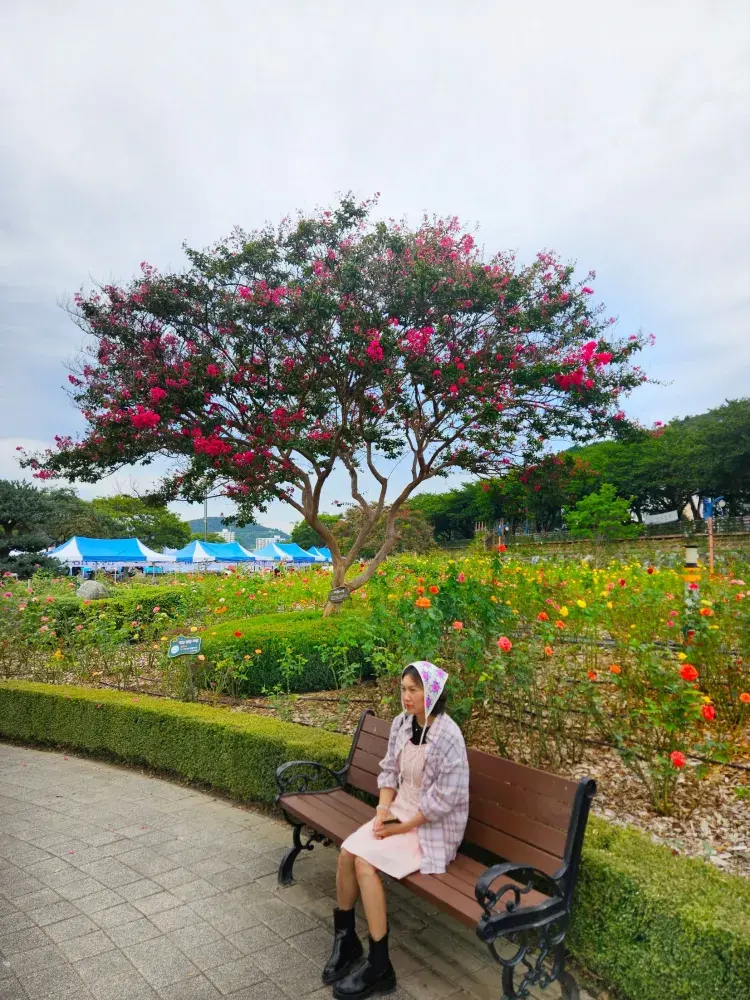 가을 폼 미쳤다🧡삼척 공원과 맛집 힐링 완벽 코스