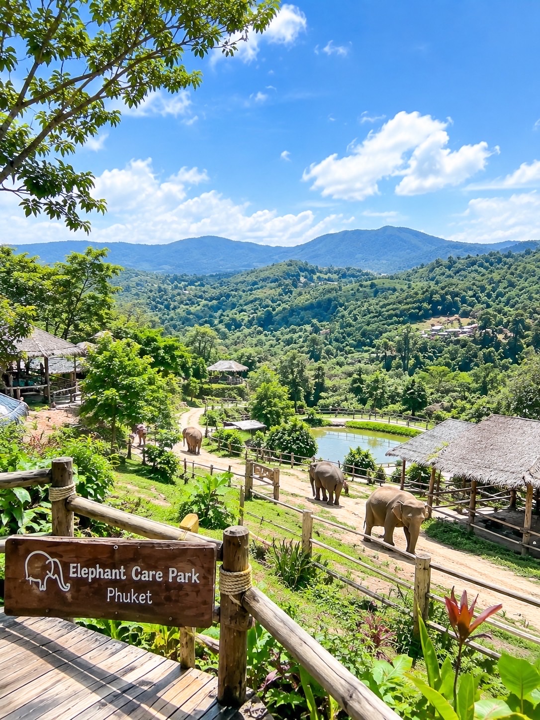 Elephant Care Park Phuket — Phuket