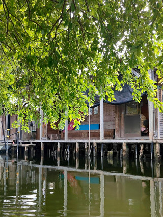 Missed the Boat? Not Quite. 🛶🌿