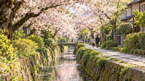 🌸 PHILOSOPHER’S PATH — Walk along the cherry blossom petals in the slow-paced Kyoto, Japan 🇯🇵 — traveler post in Kyoto