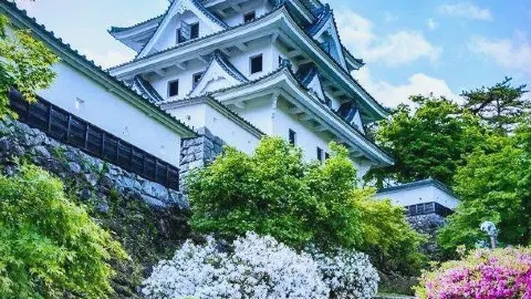 🇯🇵A Must-Visit in Gifu! A Complete Guide to the Autumn Foliage at Gujo Hachiman Castle and the Castle in the Sky🌄🍁 — traveler post in Gujo