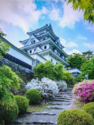 A Must-Visit in Gifu! The Ultimate Guide to the "Castle in the Sky" and Autumn Foliage at Gujo Hachiman Castle.