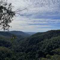 Lamington national park