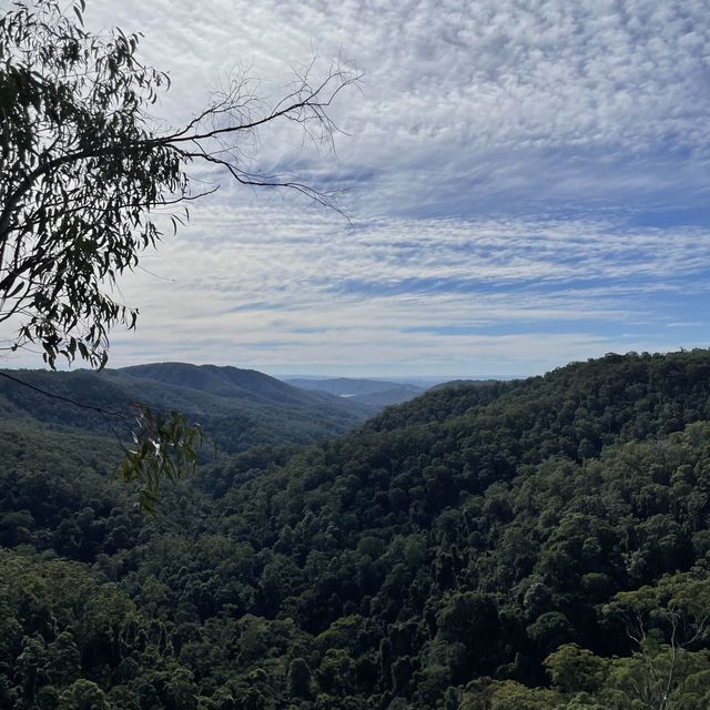 Lamington national park