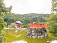 🌸 大阪必訪景點：勝尾寺！🎍