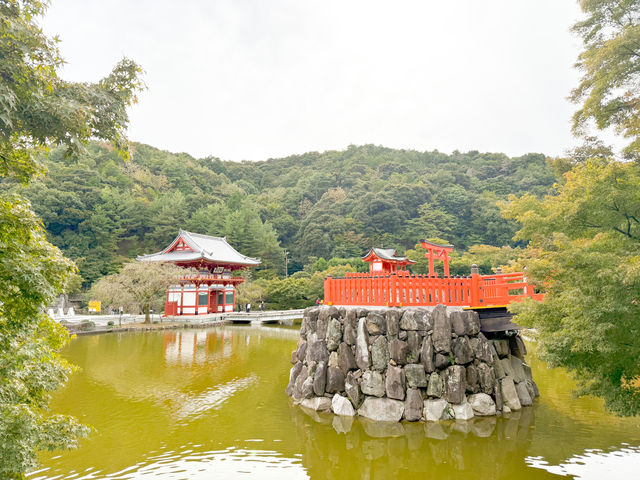 🌸 大阪必訪景點：勝尾寺！🎍