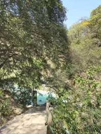 해외여행 멕시코 온천지역 Las grutas de tolantongo