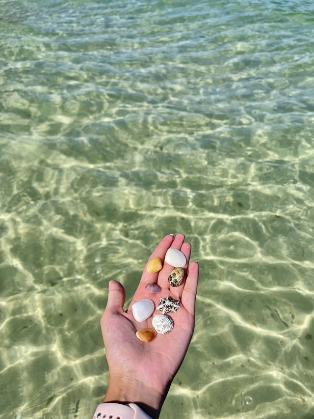 The Perfect Spot to Unwind.