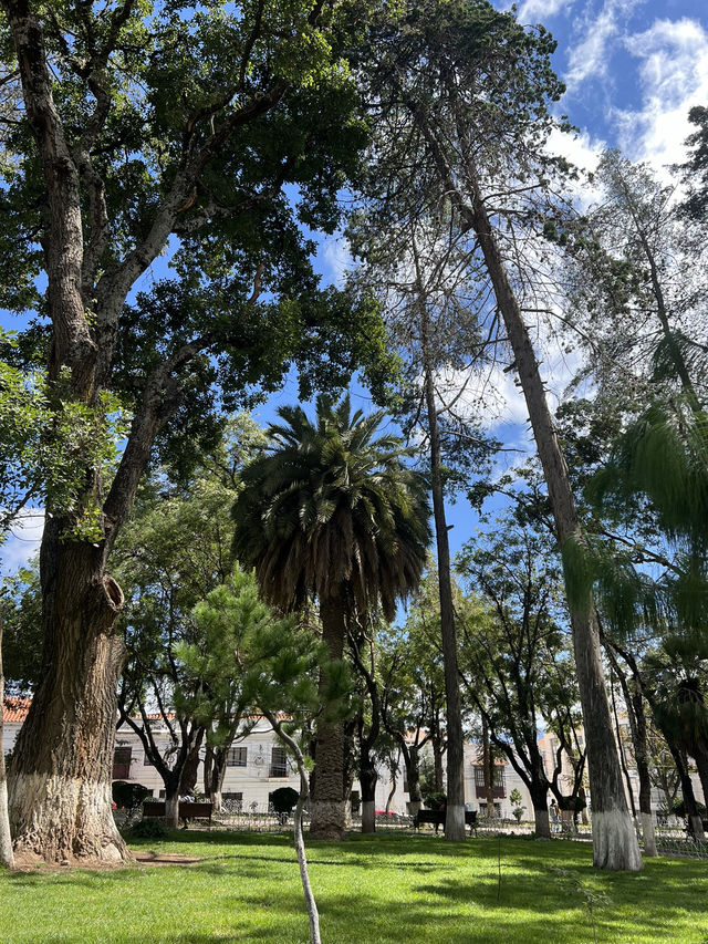 Walking Tour Guide in Sucre, Bolivia 🇧🇴