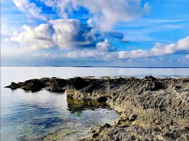 厚石海岸