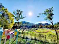 富田花園農場
