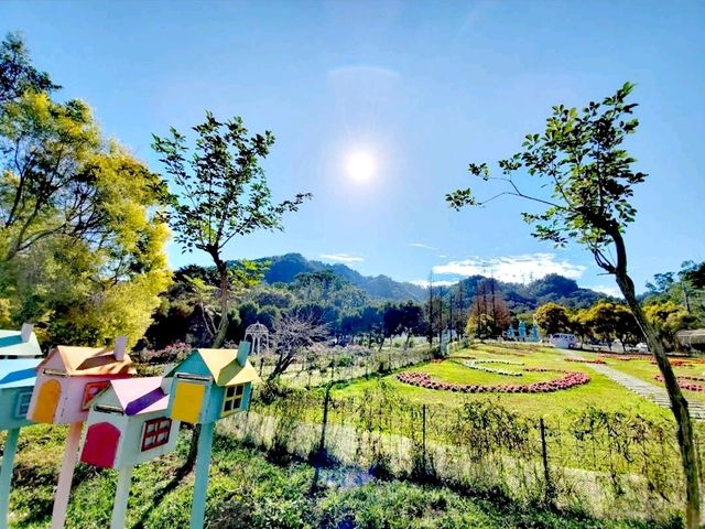 富田花園農場