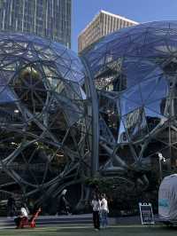 2025西雅圖亞馬遜必去景點：The Spheres