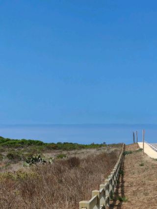 ポイント・デューム自然保護区は、カリフォルニア州道1号線から少し寄り道する価値のある場所です。他の展望台と比べて暖かく、カリフォルニアの太陽の光を浴びながら、風や潮風を感じ、眼下の岩に打ち付ける大きな波を眺めることができます。

左手にある展望台トレイルからは、サンタモニカの街並みを一望できます。丘の上にはいくつかのトレイルがありますが、一番短いのはポピー・トレイルです。右手のトレイルからはマリブの海岸線が見えます。

麓に駐車すれば、頂上までのトレイルは3マイル(約4.8km)です。早朝に出発し、トレイルのすぐそばに駐車して、マリブの朝の景色を楽しみましょう。出口は2つあり、ズマビーチ出口の標識がより分かりやすいです。西海岸のパノラマビューを満喫できる、楽しい立ち寄りスポットです!

ビッグ・デューム・ビーチの向かいには、海辺のカフェがあり、ビーチサイドで軽食を楽しむことができます。