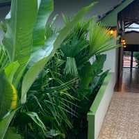 Fantastic one night stay in the rainforest 