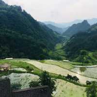 Majestic Heights in Zhangjiajie 🏞️🚡