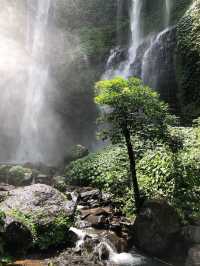 A Magical Escape in Bali