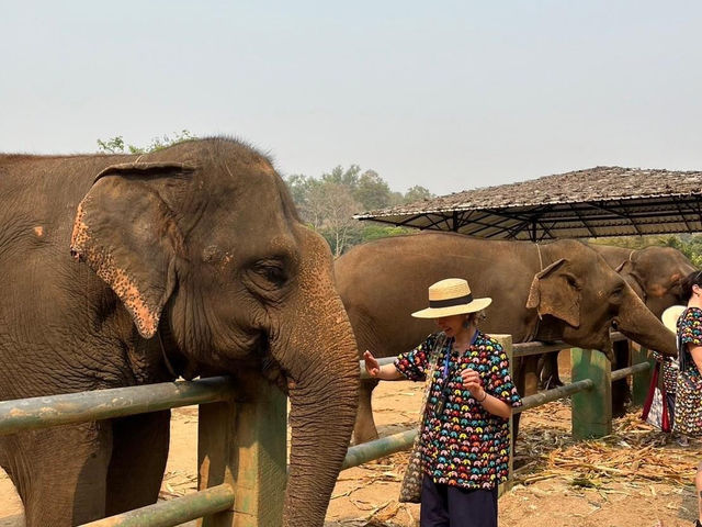 Chiang Mai 🇹🇭