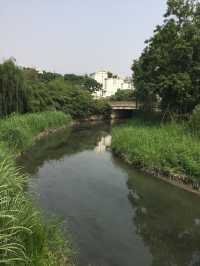 Charming Chengdu: The Heart of Sichuan